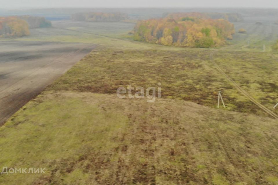 земля р-н Тюменский село Горьковка фото 7