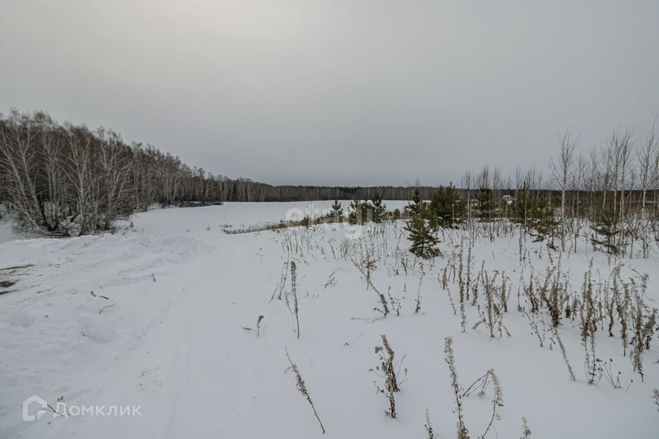 земля р-н Тюменский село Кулига фото 10