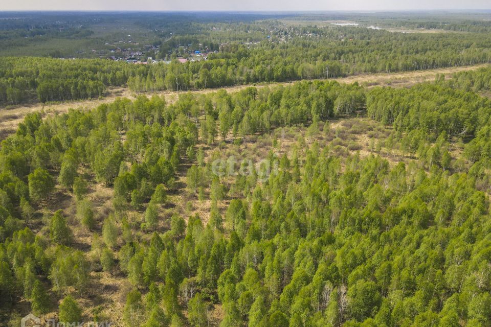 земля р-н Нижнетавдинский садоводческое некоммерческое товарищество Разбахта фото 8