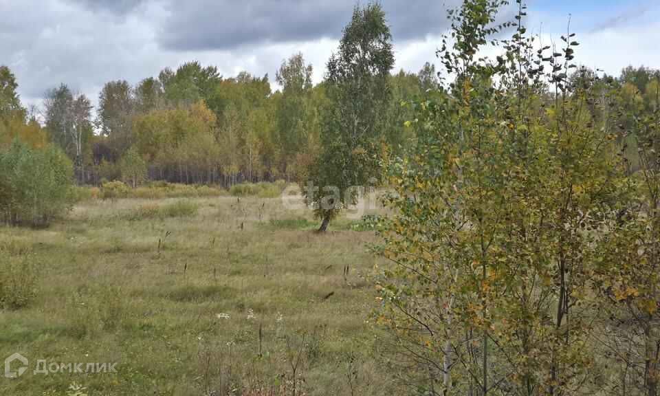 земля р-н Тюменский посёлок городского типа Богандинский фото 8