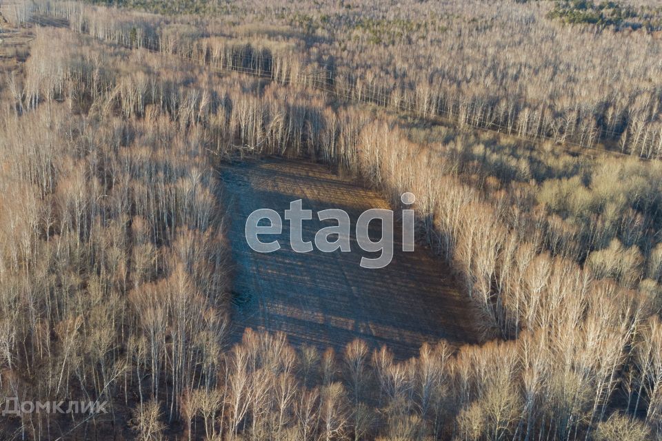 земля р-н Тюменский с Каменка дачное некоммерческое товарищество Подушкино фото 6