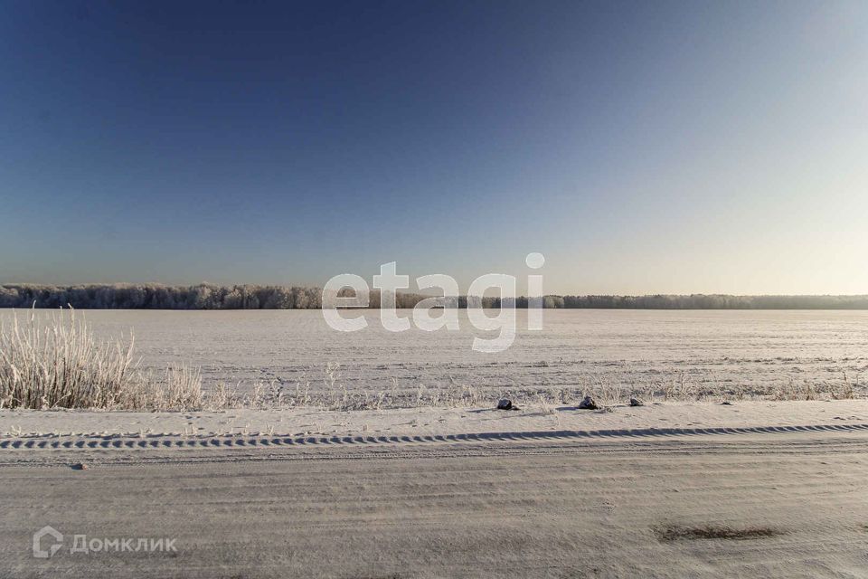 земля р-н Тюменский с Каменка Каменское кладбище фото 6