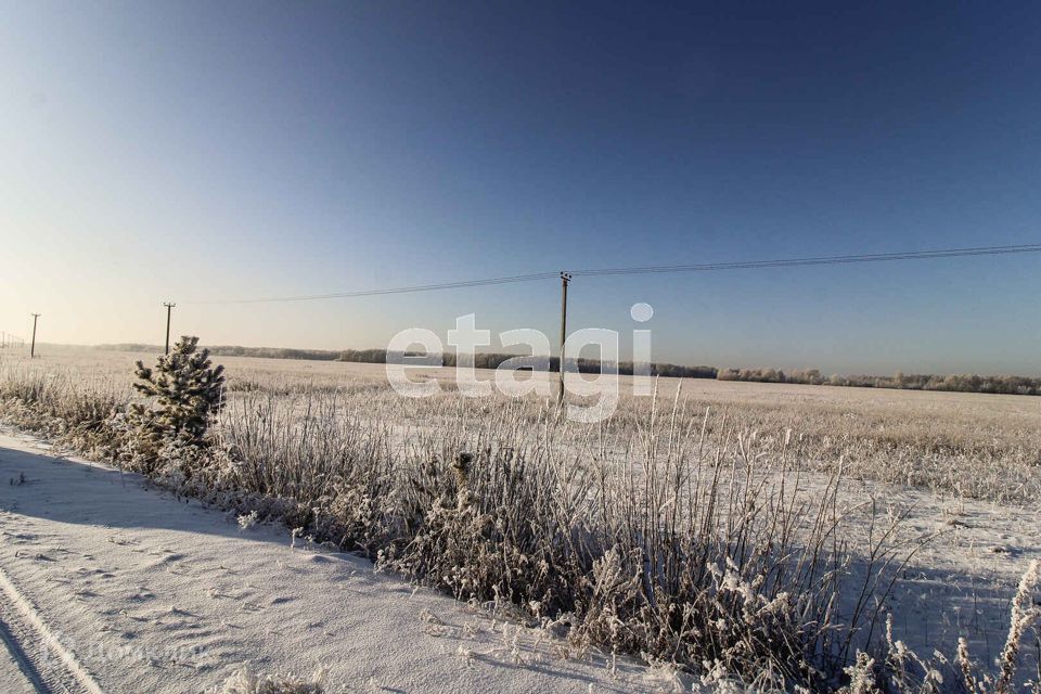 земля р-н Тюменский с Каменка Каменское кладбище фото 10