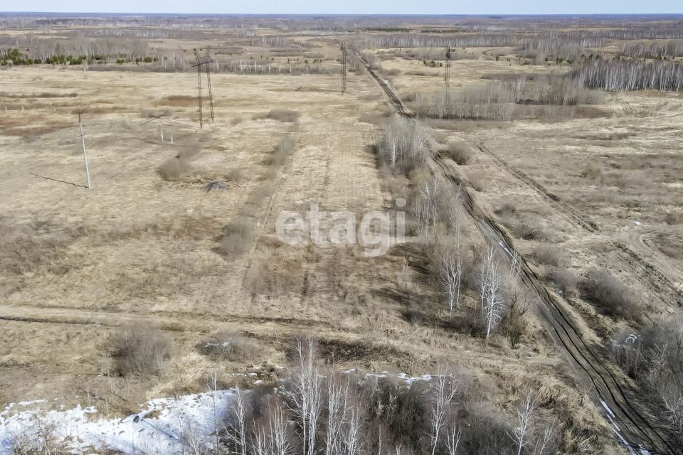 земля р-н Тюменский с Борки ул Советская Каскаринское сельское поселение фото 6