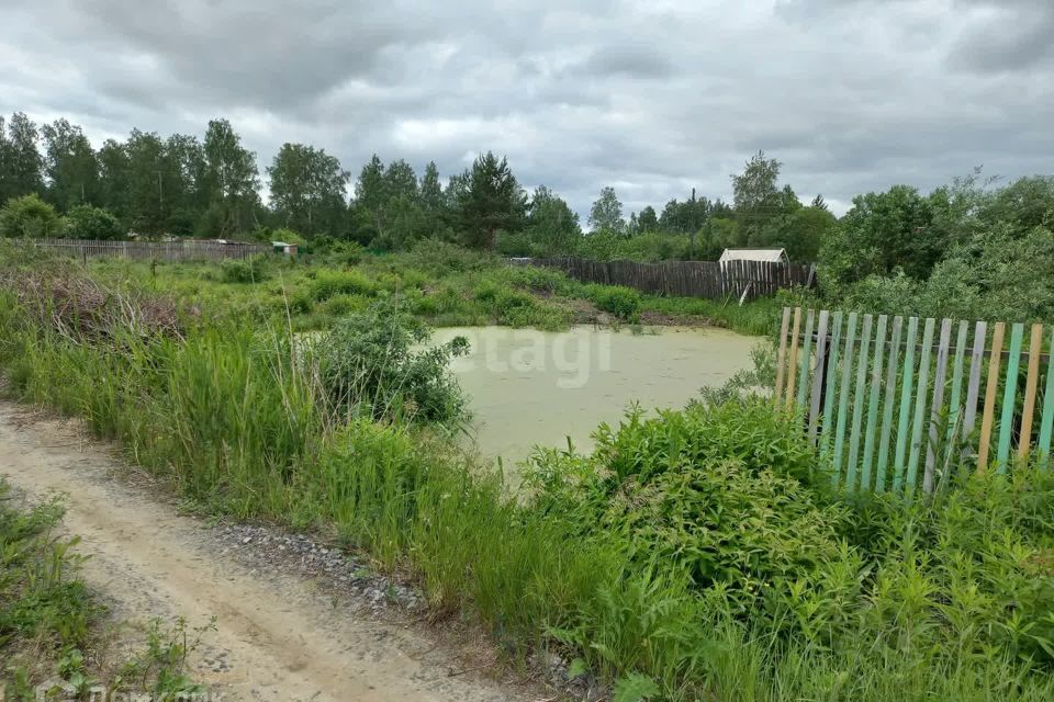 земля р-н Тюменский снт Нива ул Двойная фото 10