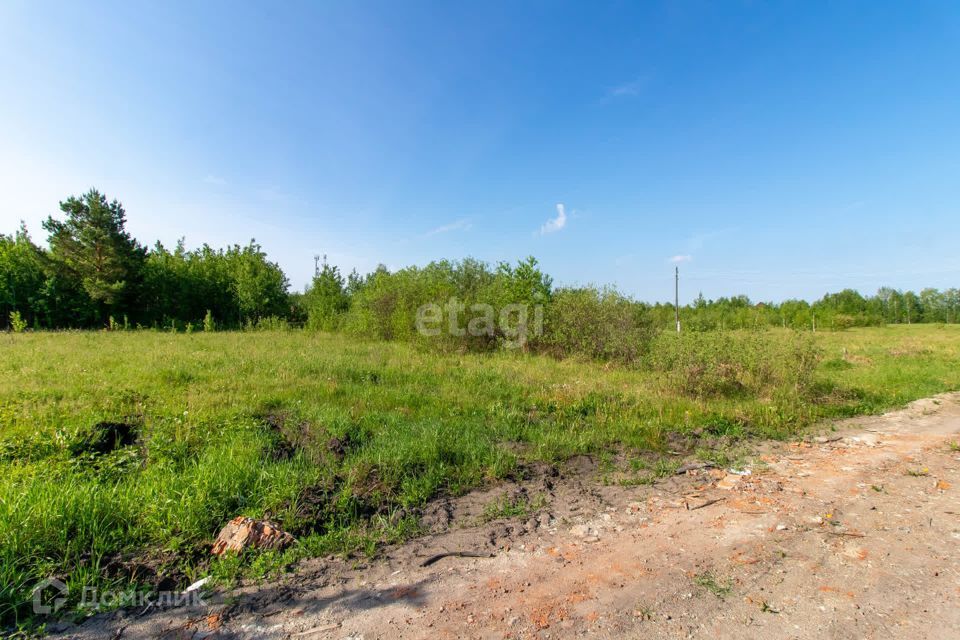 земля г Тюмень снт Поляна ул Длинная городской округ Тюмень фото 6