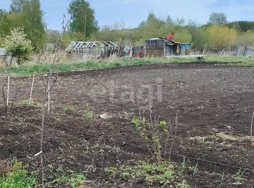 земля р-н Тюменский п Новотарманский ул Дачная Новотарманское сельское поселение фото 7