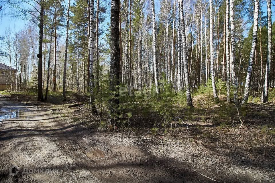 земля р-н Тюменский рп Боровский ул Новая Озерная сельское поселение Боровский фото 9