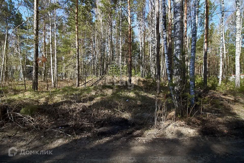 земля р-н Тюменский рп Боровский ул Новая Озерная сельское поселение Боровский фото 8