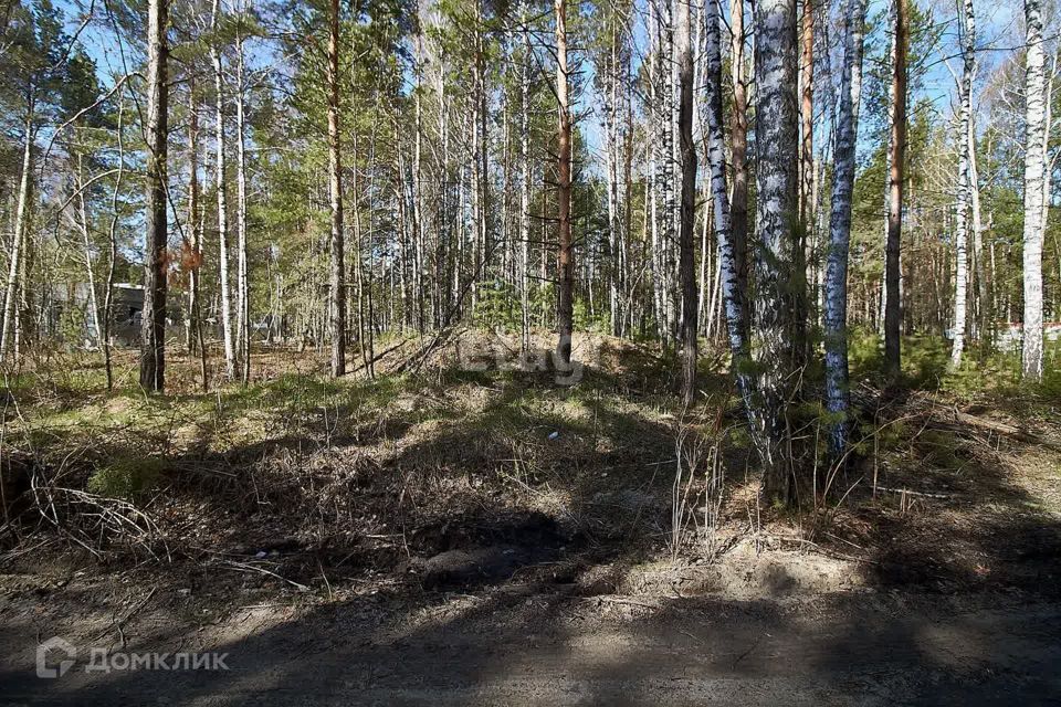 земля р-н Тюменский рп Боровский ул Новая Озерная сельское поселение Боровский фото 7