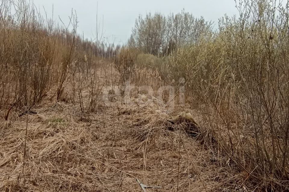 земля г Тюмень снт Липовый остров ул Западная 2-я городской округ Тюмень фото 10