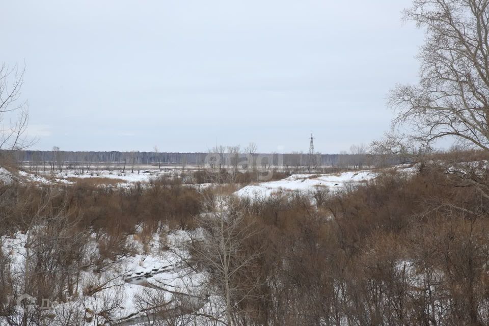 земля р-н Тюменский д Насекина ул Центральная фото 6