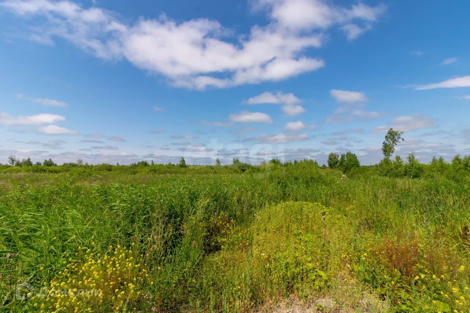 земля г Тюмень снт Липовый остров ул 1-я Западная городской округ Тюмень фото 6