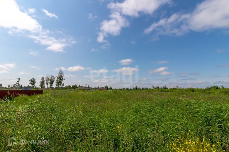 земля г Тюмень снт Липовый остров ул 1-я Западная городской округ Тюмень фото 7