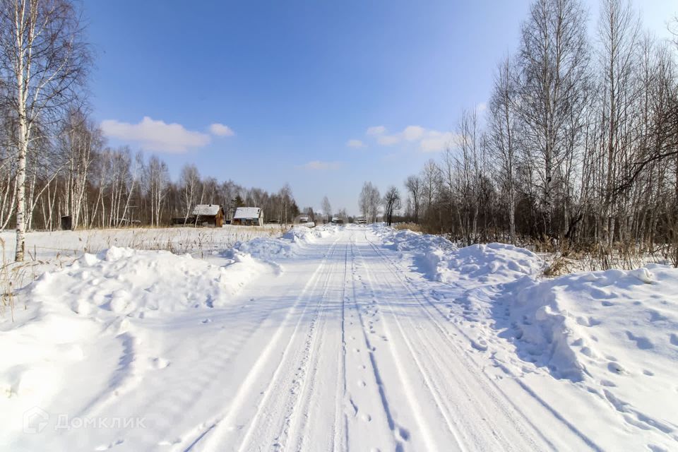 земля г Тюмень городской округ Тюмень, Светлая Звенящие кедры Тюмени с/о фото 5