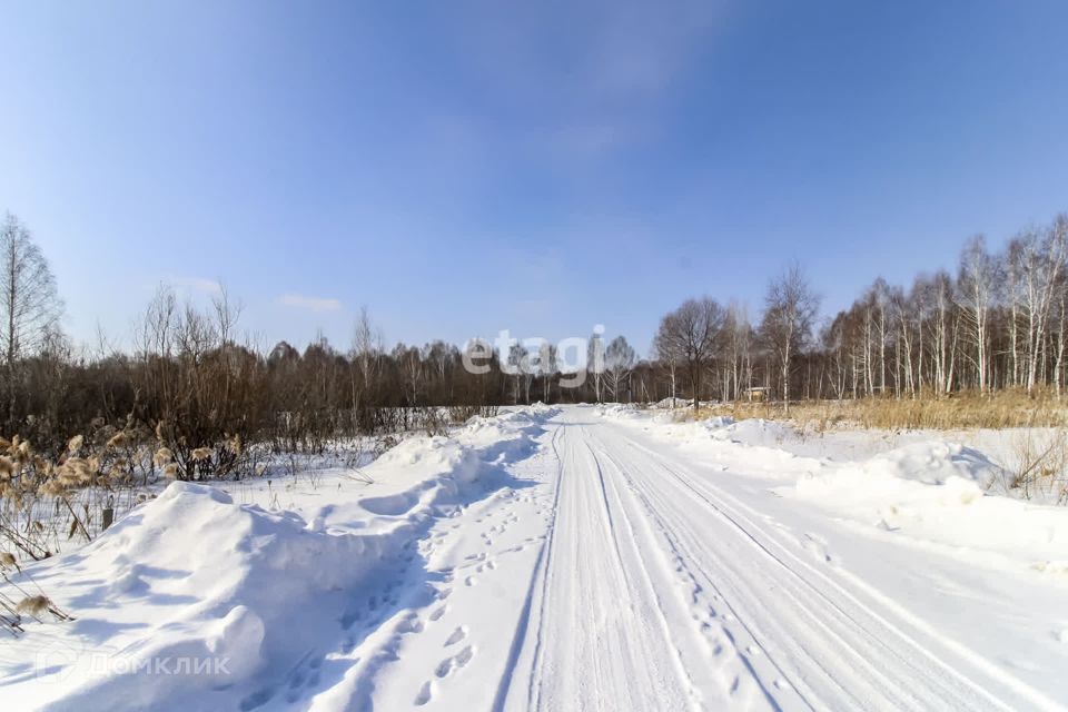 земля г Тюмень городской округ Тюмень, Светлая Звенящие кедры Тюмени с/о фото 9