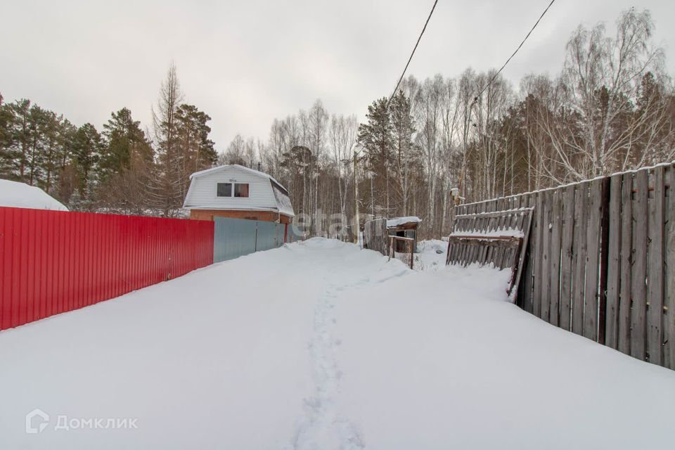 земля г Тюмень снт Березняки ул Сосновая городской округ Тюмень фото 10