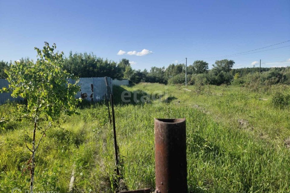 земля р-н Тюменский д Молчанова ул Советская Новотарманское сельское поселение фото 10