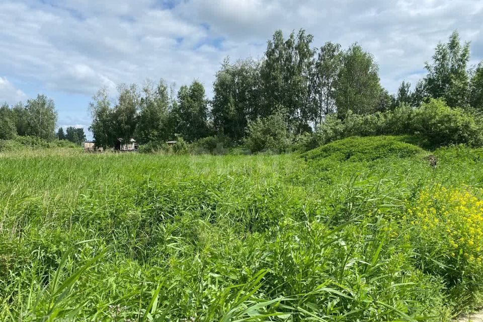 земля г Тюмень снт Поле чудес-2 ул Садовая городской округ Тюмень фото 8