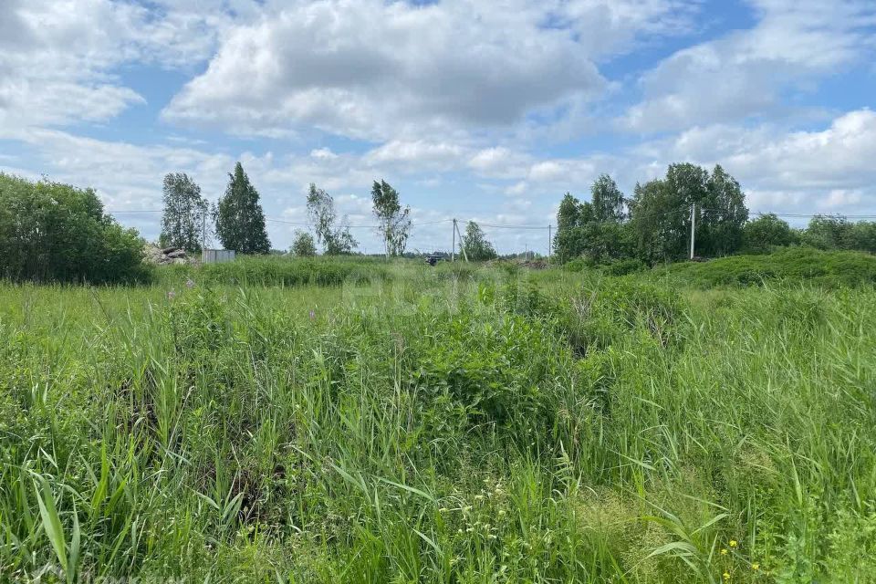 земля г Тюмень снт Поле чудес-2 ул Садовая городской округ Тюмень фото 10