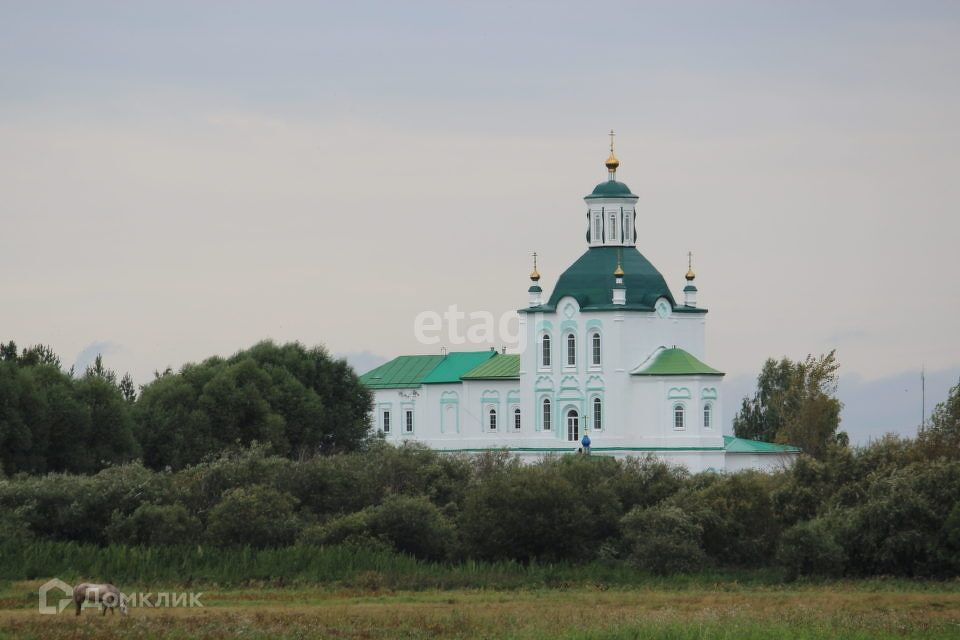 дом р-н Слободо-Туринский село Туринская Слобода, Береговая улица фото 10