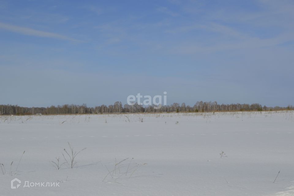 земля р-н Слободо-Туринский село Туринская Слобода фото 5