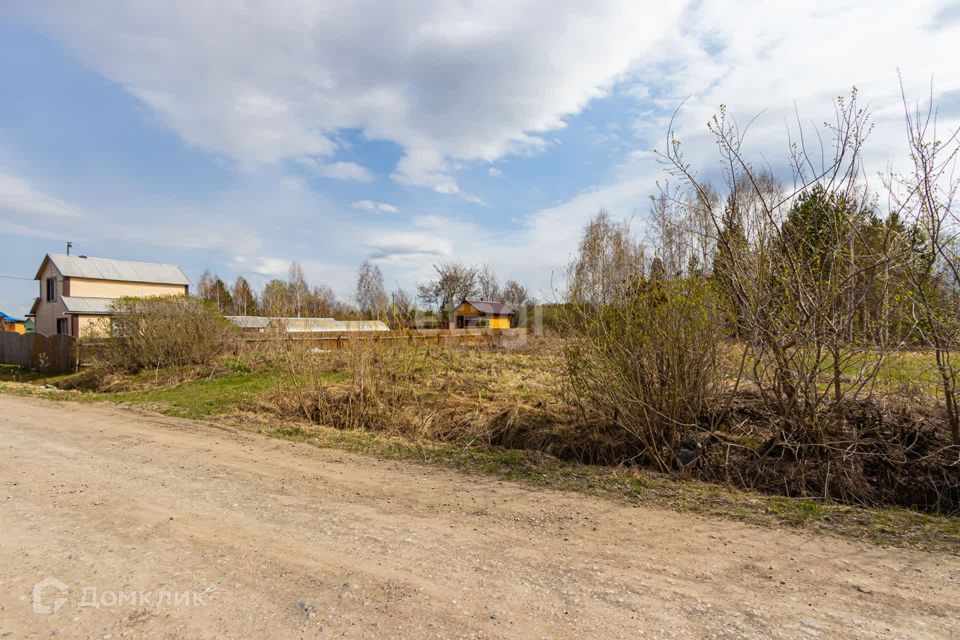 земля р-н Тюменский снт Нива ул Центральная фото 6