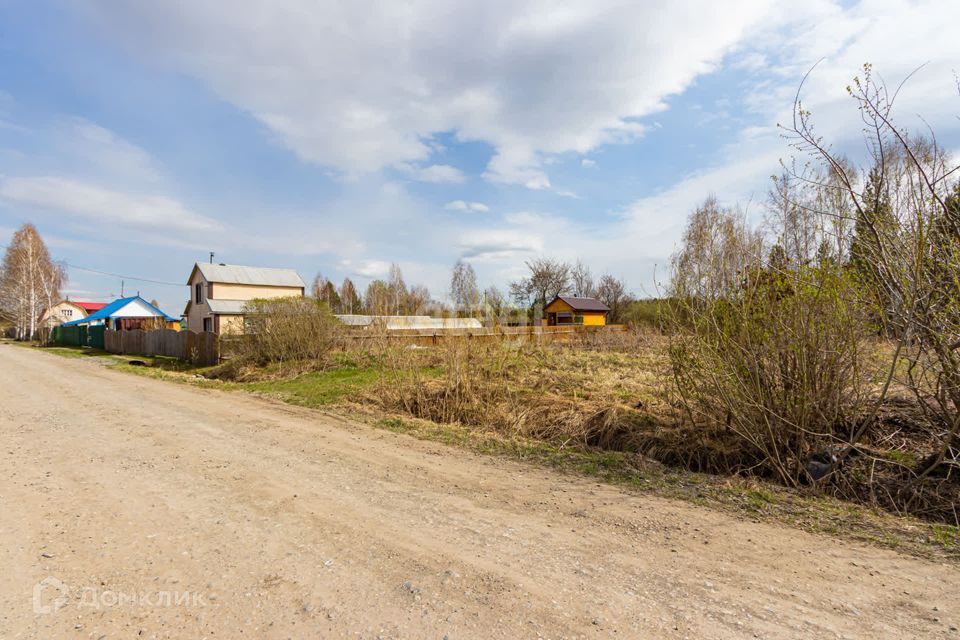 земля р-н Тюменский снт Нива ул Центральная фото 7