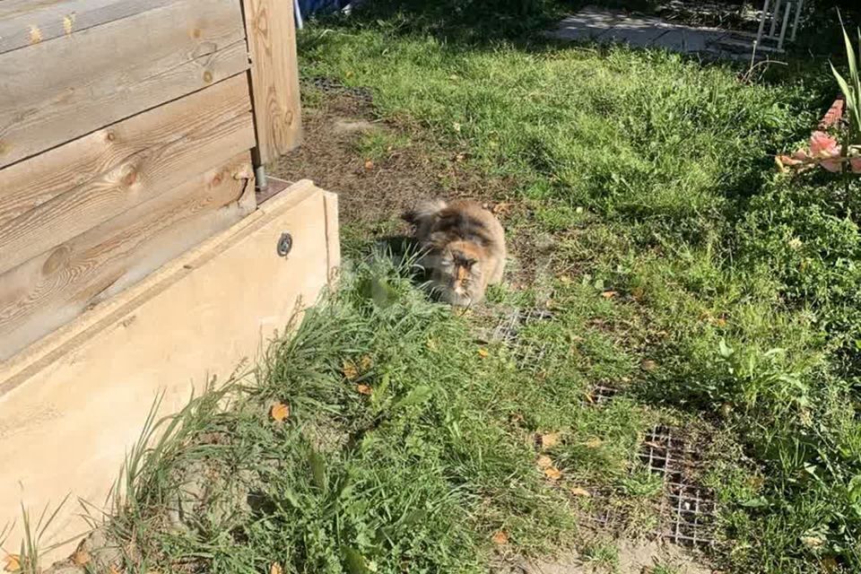 дом г Тюмень городской округ Тюмень, Солнечная улица фото 8