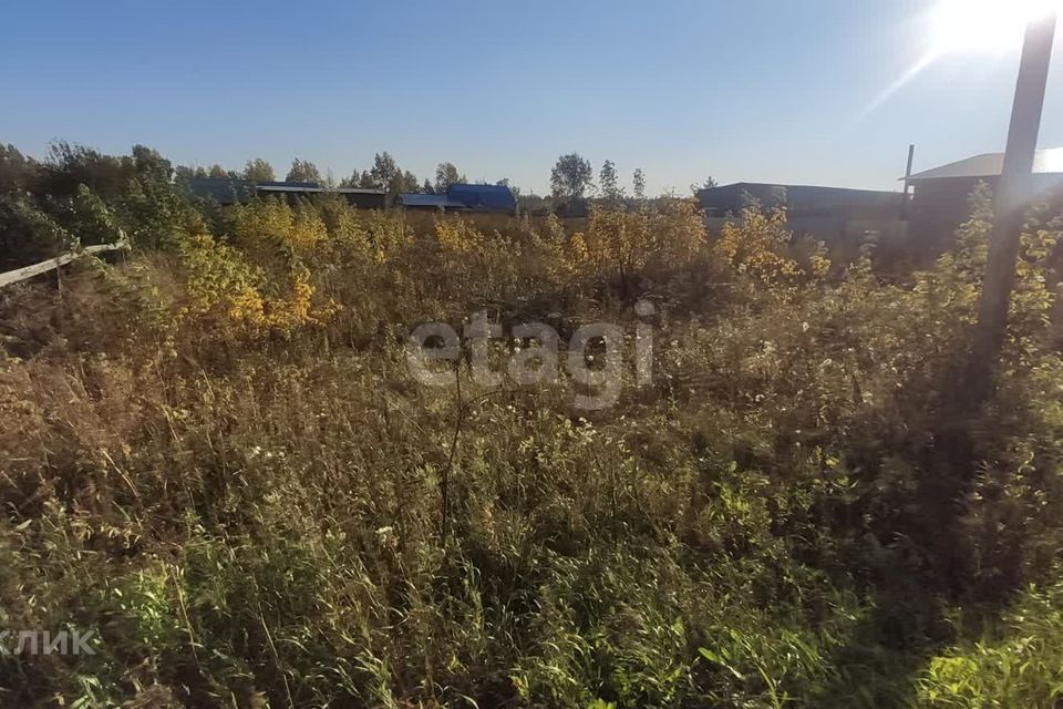 земля р-н Тюменский с Успенка ул Новоселов фото 7