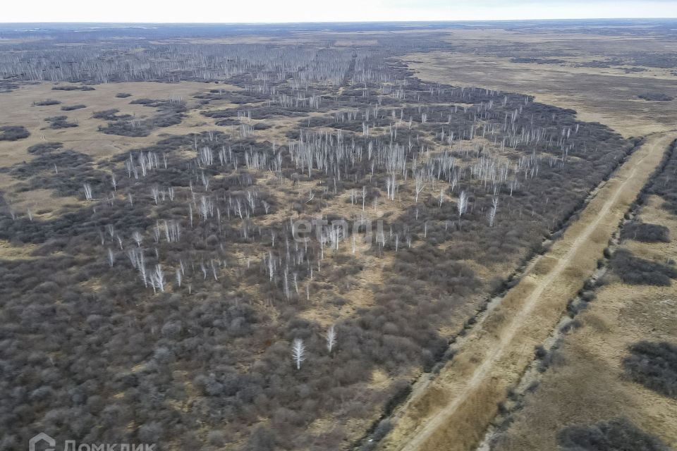 земля г Тюмень тракт Велижанский 7 км городской округ Тюмень фото 9