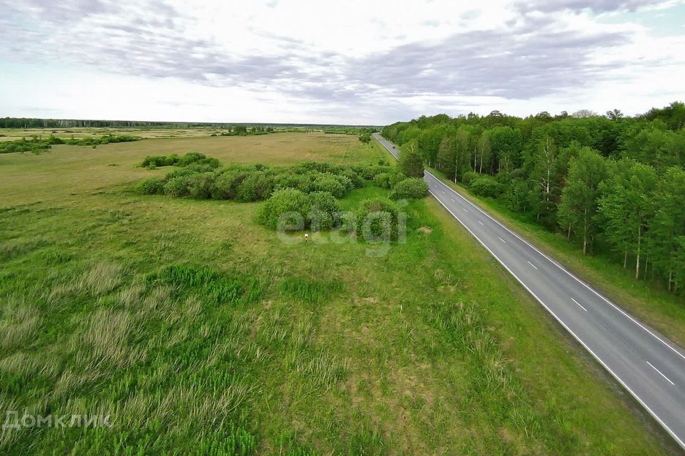 земля р-н Тюменский с Салаирка ул Полевая фото 5