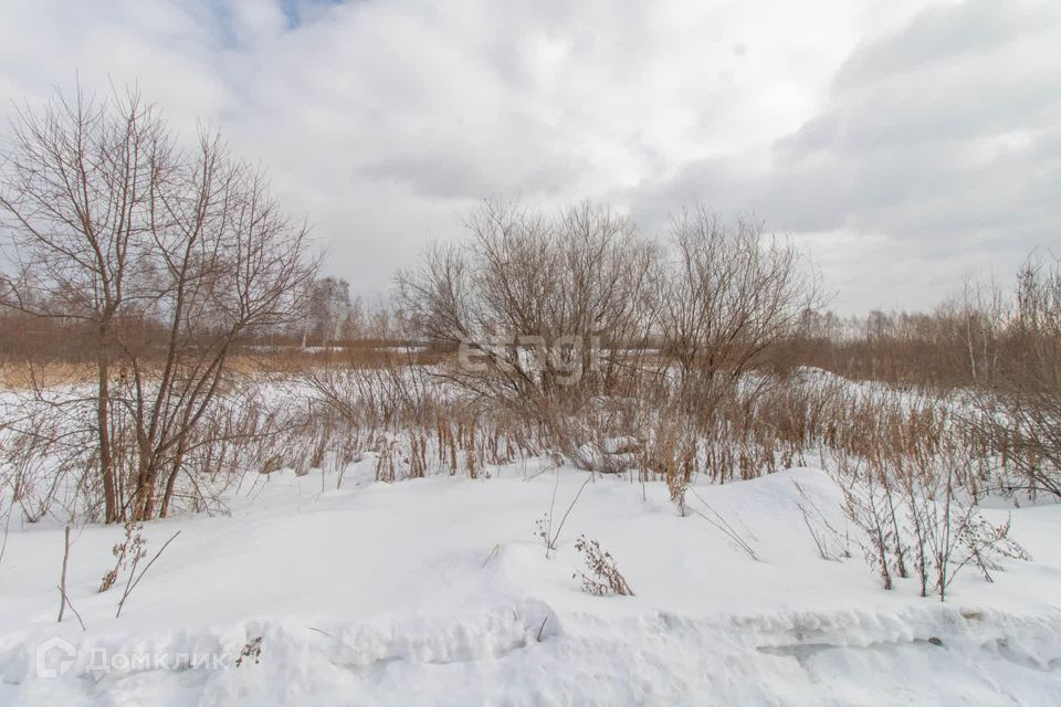 земля городской округ Тюмень, садовое товарищество Поле Чудес, Западная улица фото 5