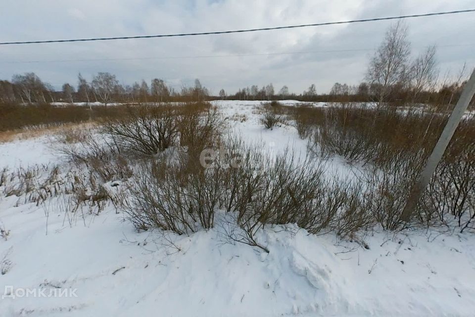 земля городской округ Тюмень, садовое товарищество Поле Чудес, Западная улица фото 9