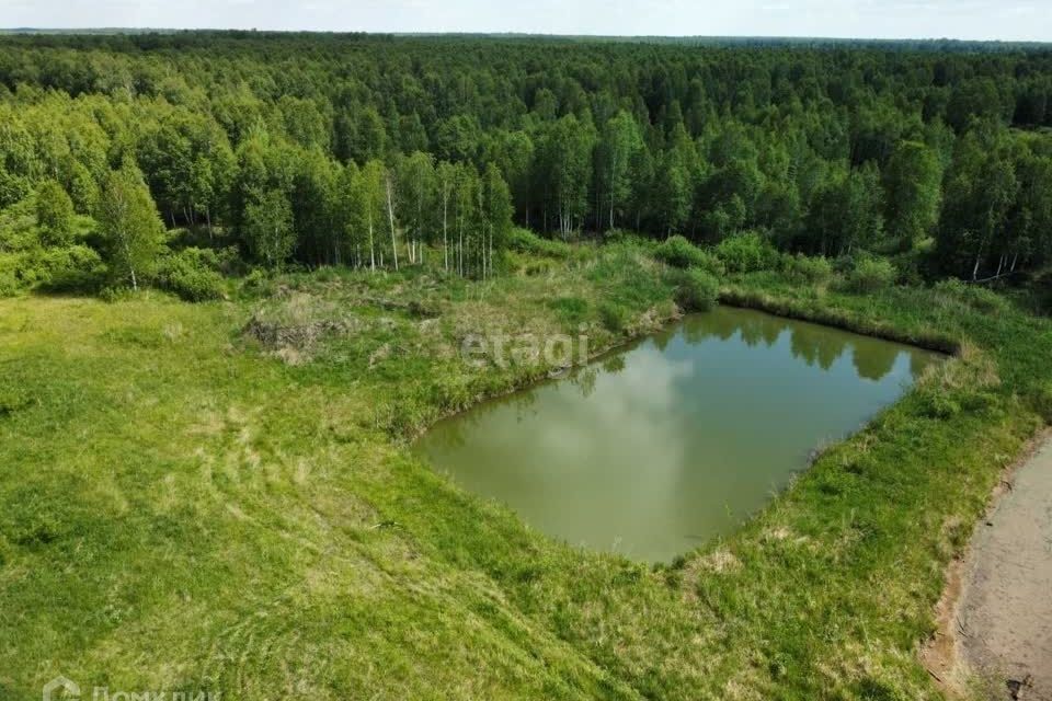 земля р-н Нижнетавдинский ДНП Журавли фото 5