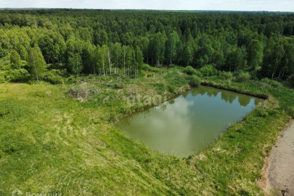 земля р-н Нижнетавдинский ДНП Журавли фото 8