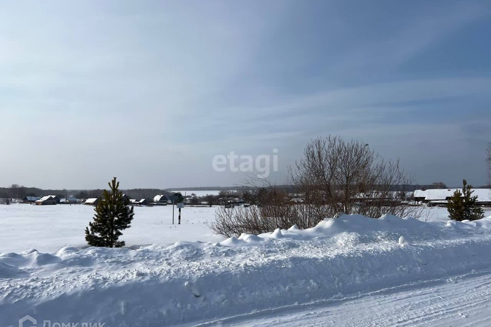 земля р-н Тугулымский д Дубровина ул Полевая фото 6