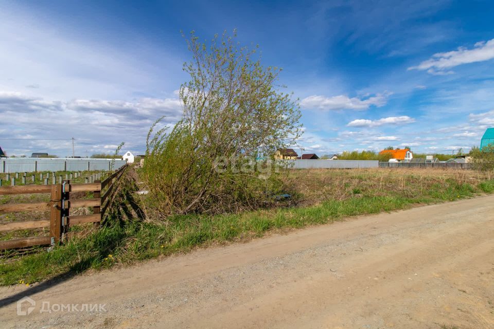 земля г Тюмень снт Верхнеборское городской округ Тюмень, Жасминовая Верхнеборское с/о фото 6