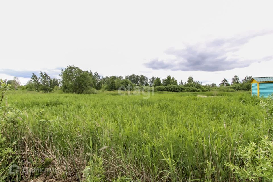 земля г Тюмень снт Матрешка городской округ Тюмень, Знатная улица фото 6