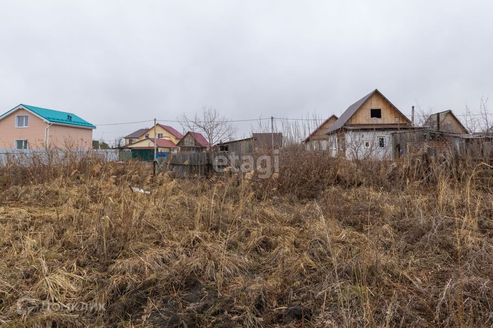 земля р-н Тюменский снт Лесник-2 ул Рябиновая фото 6