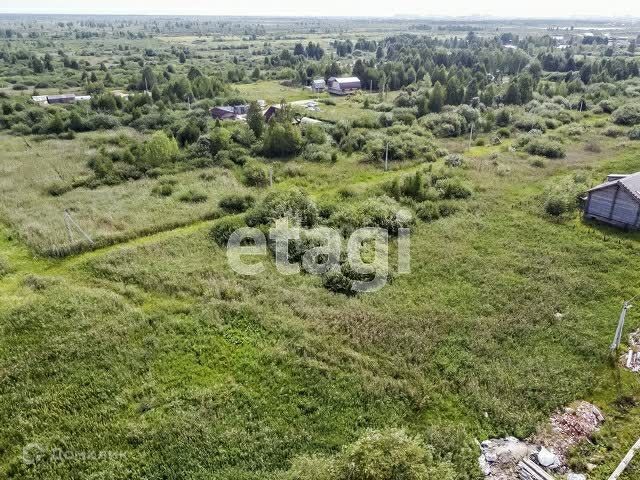 земля г Тюмень городской округ Тюмень, улица Мичуринцев фото 7