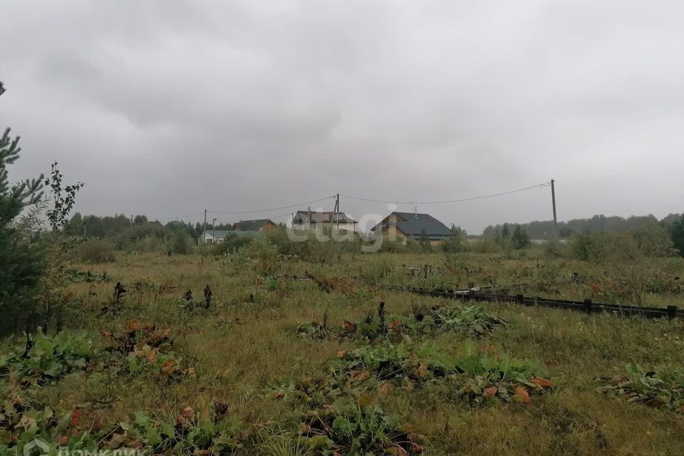 земля р-н Тюменский д Головина ул Береговая Онохинское сельское поселение фото 10