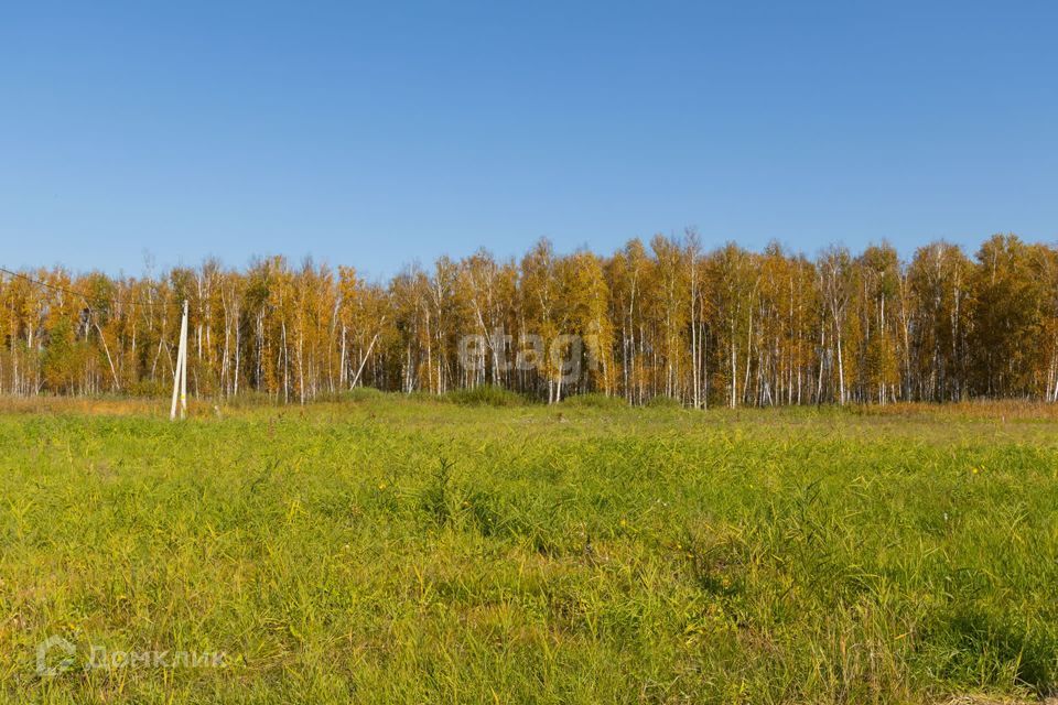 земля р-н Тюменский ДНТ Дачи Хюгге, Дубовая улица фото 9