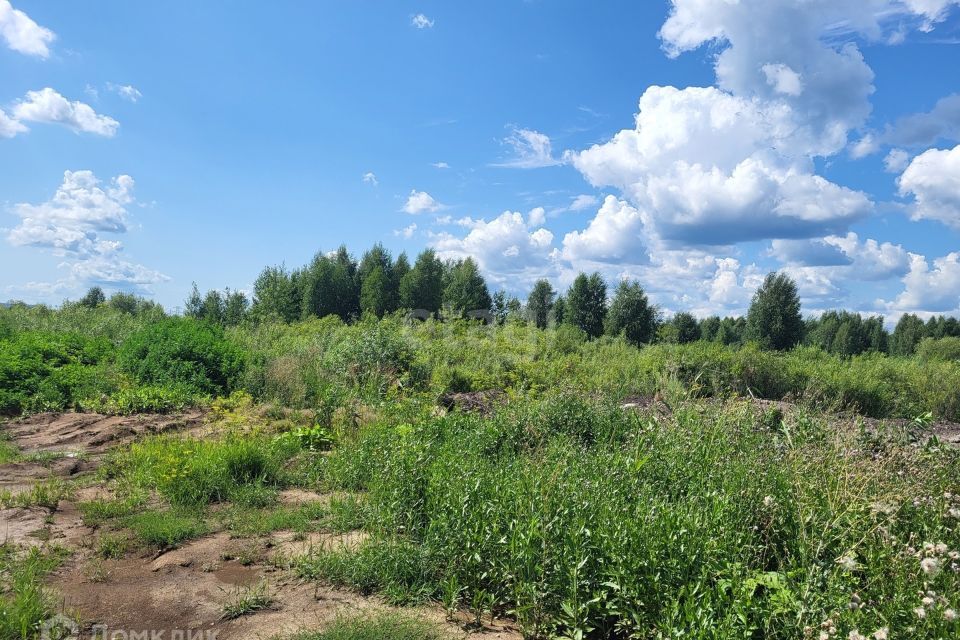 земля г Тюмень ул Григория Алексеева городской округ Тюмень фото 7