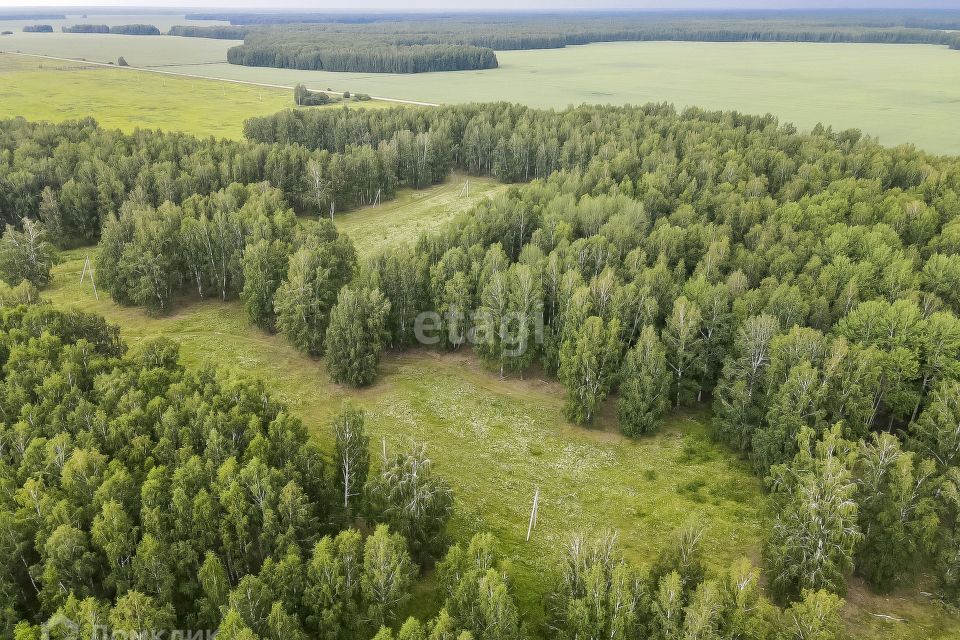 земля р-н Нижнетавдинский деревня Малый Хутор, Дорожная улица фото 9