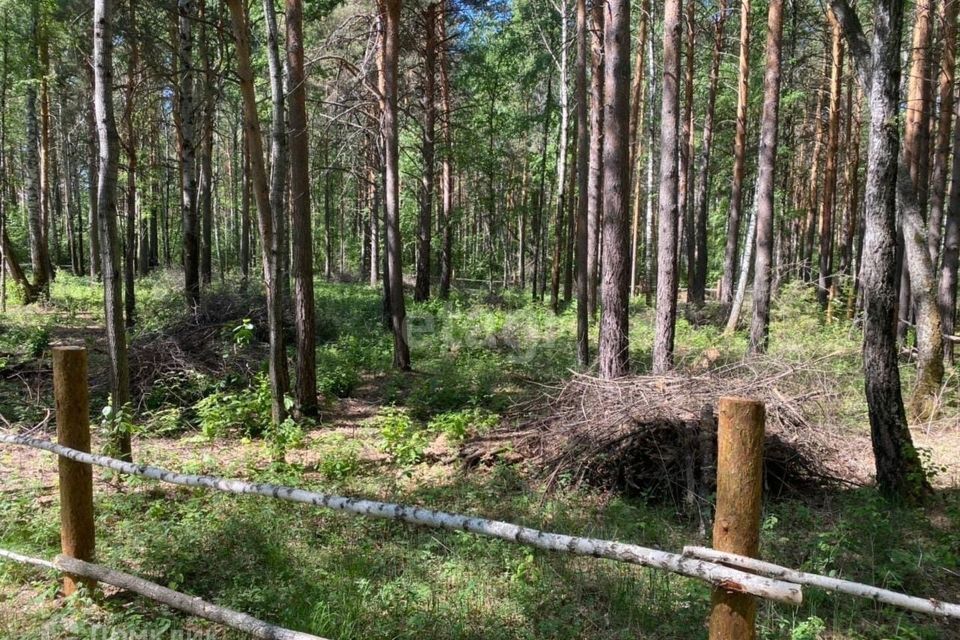 земля р-н Тюменский д Ушакова ул Новая Переваловское сельское поселение фото 9