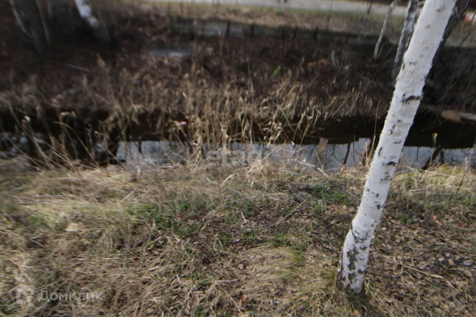 земля г Тюмень городской округ Тюмень, Задорожная фото 10