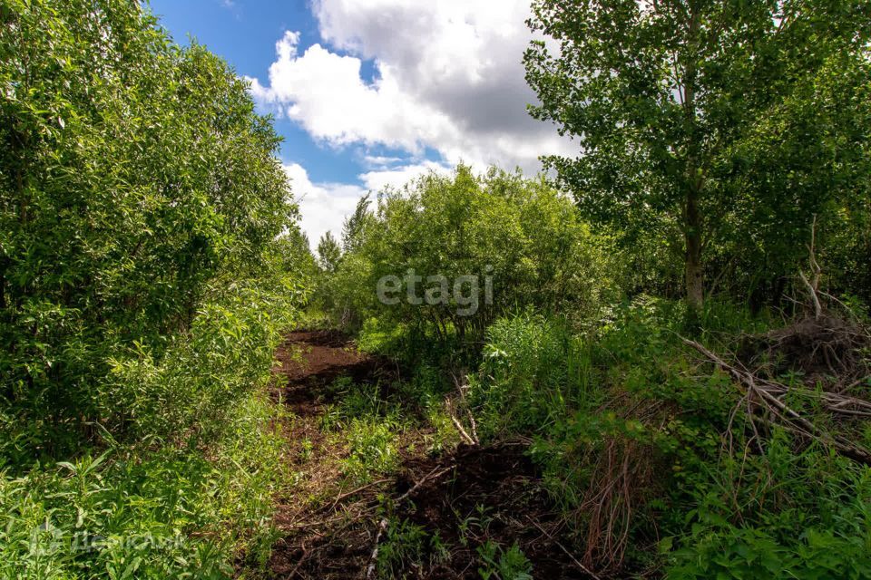 земля р-н Нижнетавдинский СТ Здоровье-3 фото 5