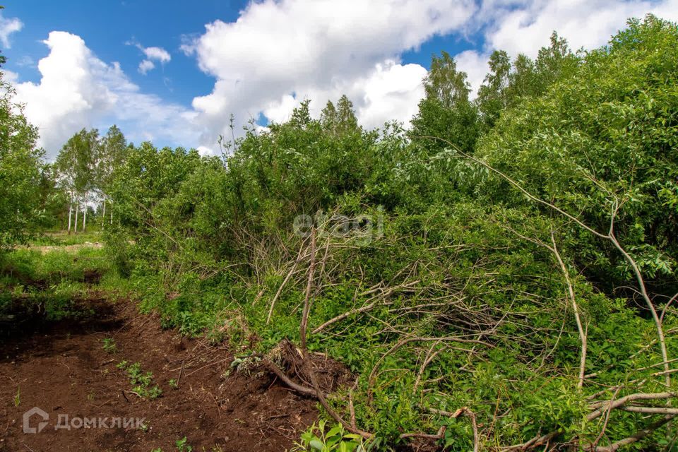 земля р-н Нижнетавдинский СТ Здоровье-3 фото 5