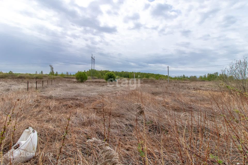 земля городской округ Тюмень, садовые участки Светлое фото 7